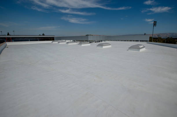 Best Storm Damage Roof Repair  in Wenona, IL
