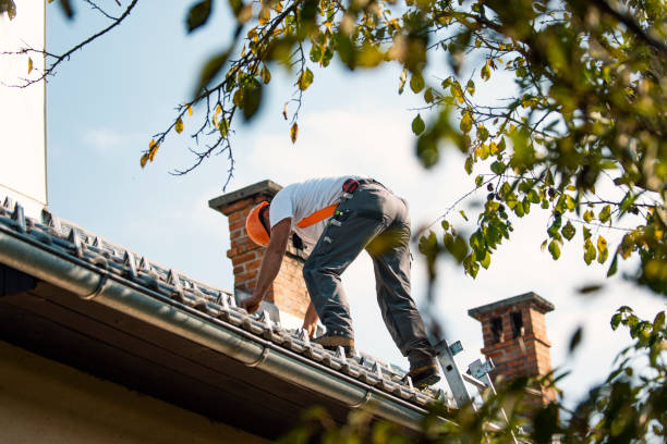 Fast & Reliable Emergency Roof Repairs in Wenona, IL
