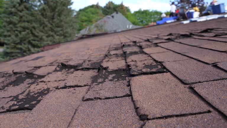 Best Roof Coating and Sealing  in Wenona, IL