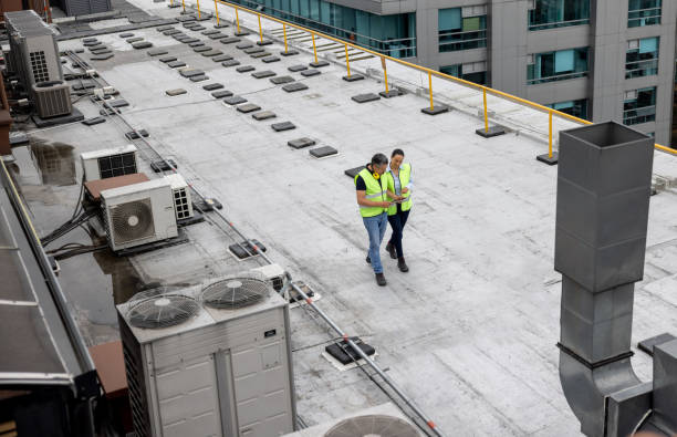 Best Roof Ventilation Installation  in Wenona, IL