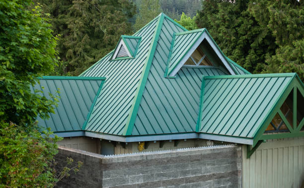 Best 4 Ply Roofing  in Wenona, IL