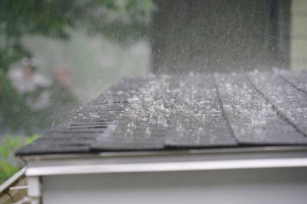 Best Roof Coating Services  in Wenona, IL