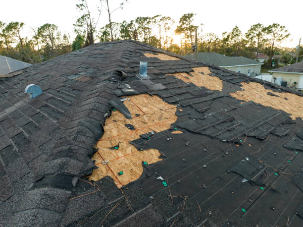 Best Asphalt Shingles Roofing  in Wenona, IL