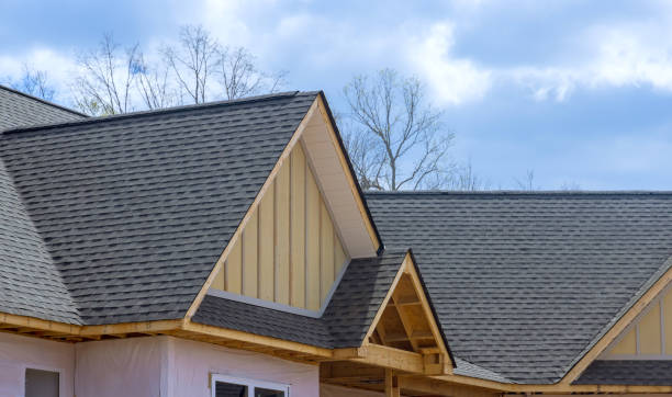 Best Asphalt Shingle Roofing  in Wenona, IL