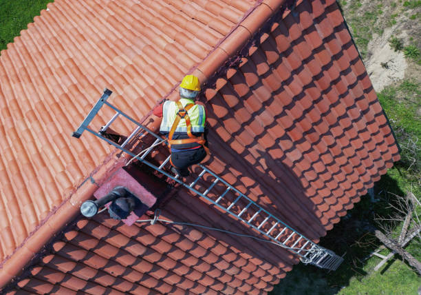 Best Hot Roofs  in Wenona, IL