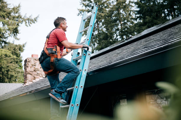 Best Tile Roofing Installation  in Wenona, IL