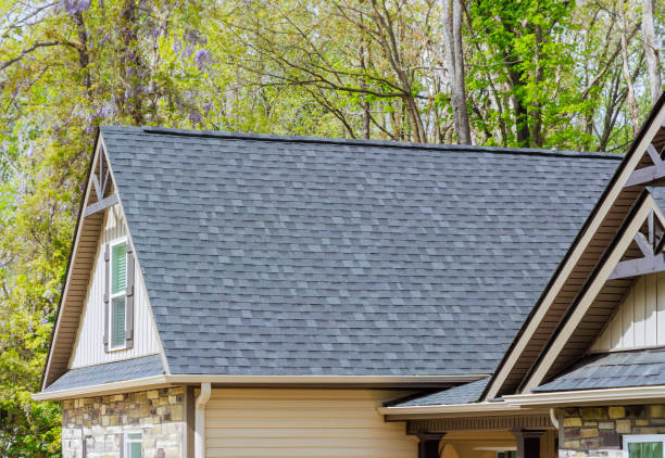Best Roof Leak Repair  in Wenona, IL