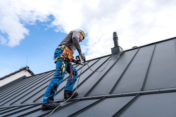 4 Ply Roofing in Wenona, IL