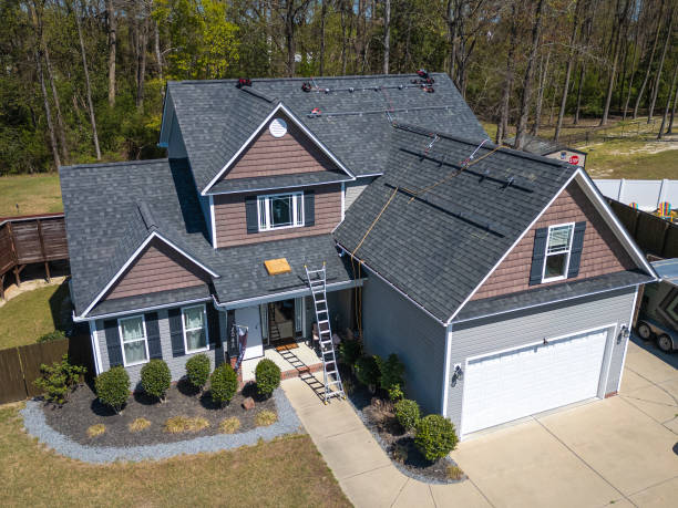 Best Asphalt Shingles Roofing  in Wenona, IL