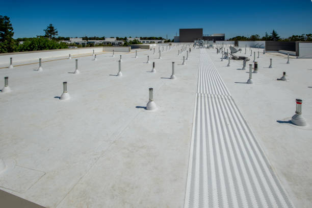 Best Roofing for New Construction  in Wenona, IL